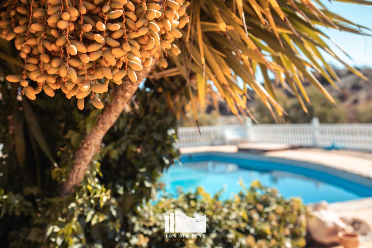 Verkoop. Finca (Landgoed) in Murcia