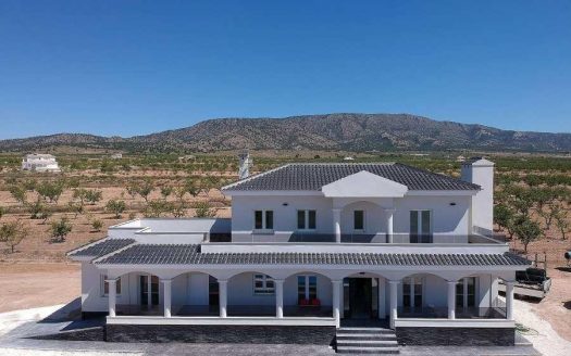 NEW BUILD VILLAS IN PINOSO