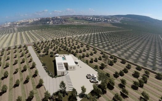 Exclusive New-Build Villas in Algorfa Near La Finca Golf Resort