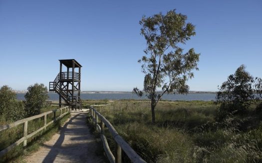 New Residential Development in Torrevieja, Just 1 km from the Sea