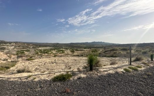 Land for sale in Torremendo