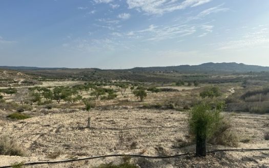 Land for sale in Torremendo