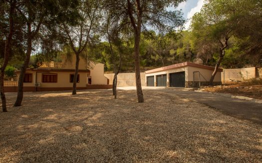Country Property/Finca for sale in Torremendo