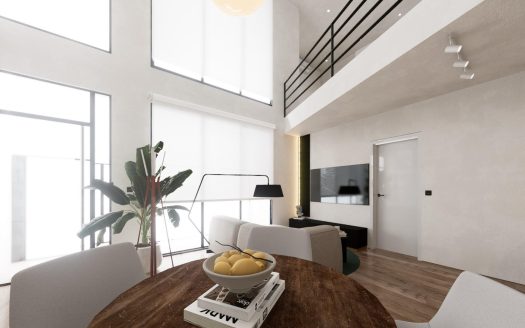 Modern Duplex Loft Apartments in the Heart of Alicante