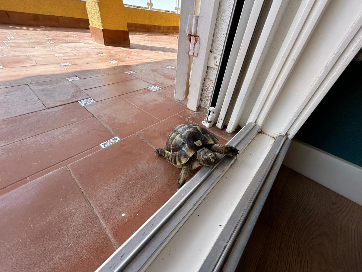 For Sale. Detached villa in San Miguel De Salinas