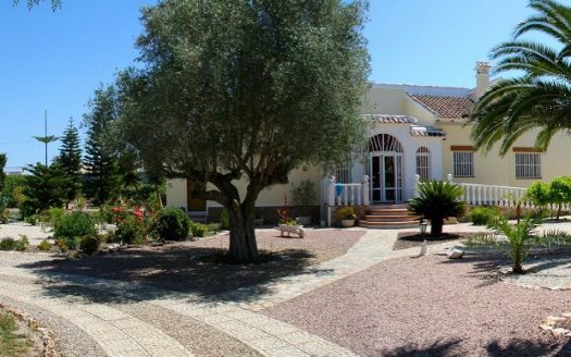 Finca Country Property for sale in Daya Vieja