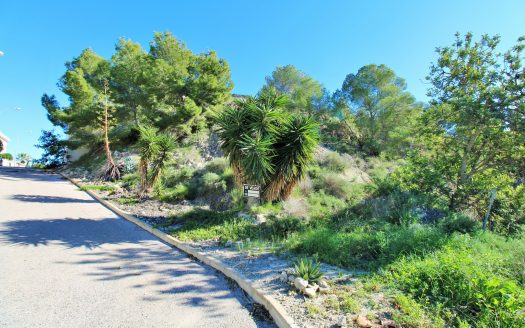 Plot for sale in San Miguel de Salinas