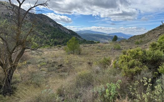 Plot for sale in Confrides