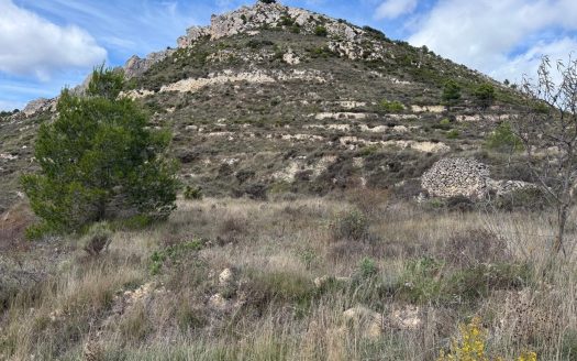 Plot for sale in Confrides