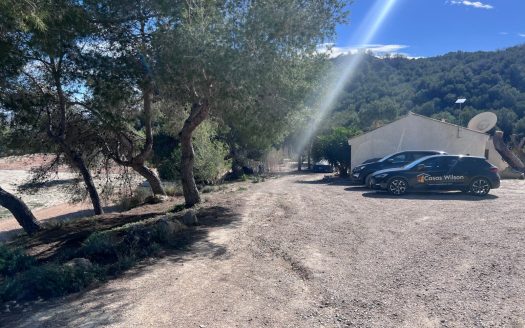 Country Property/Finca for sale in Torremendo