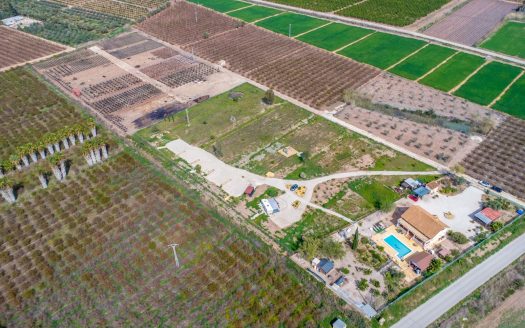 Finca for sale in Albatera