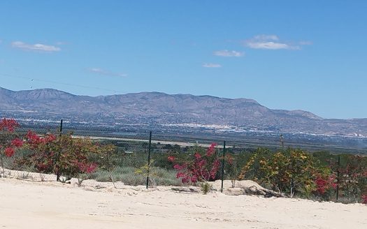 Land and Plots for sale in San Fulgencio