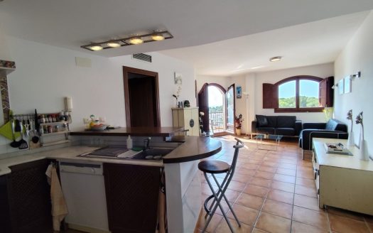 Penthouse for sale in Punta Prima