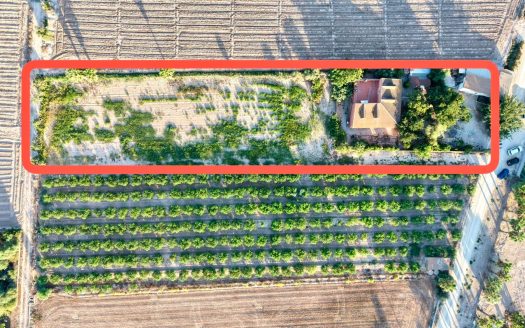 Finca – Country Property for sale in Catral